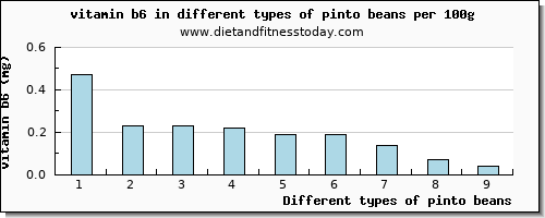 pinto beans vitamin b6 per 100g